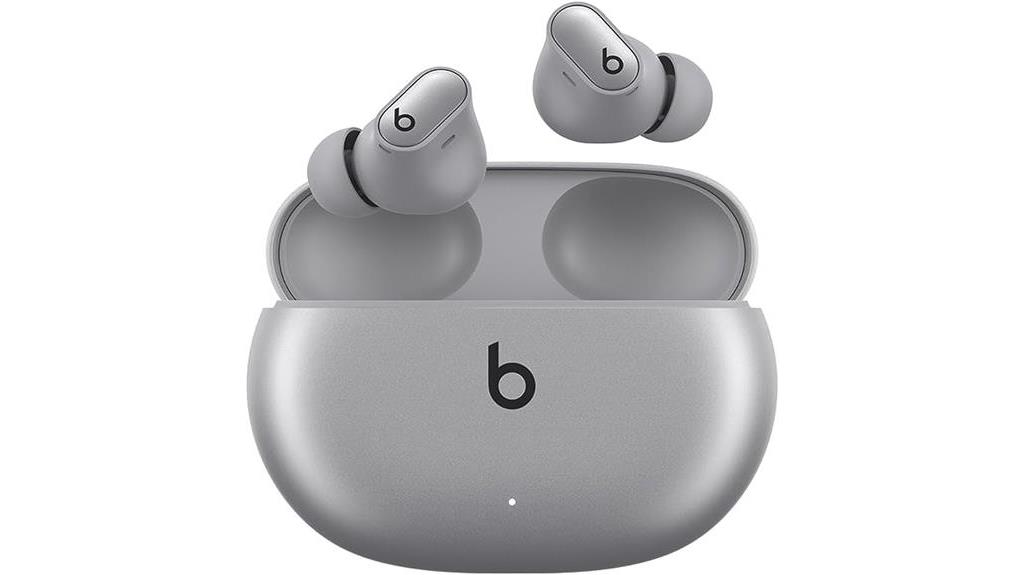 true wireless noise cancelling